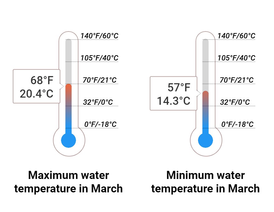 Average Sea temperature